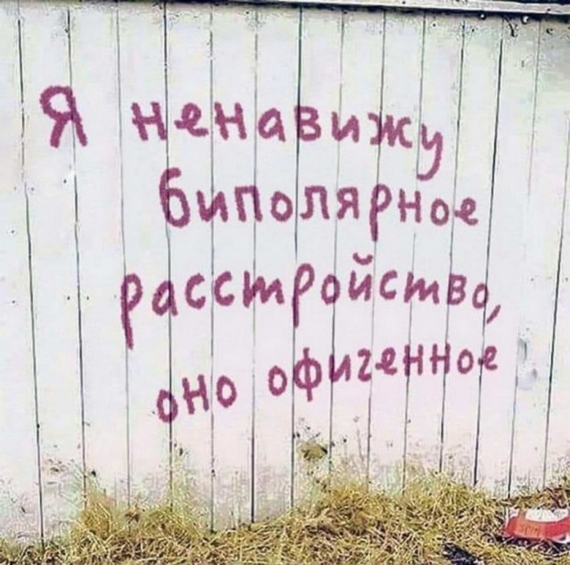 16385439.jpg