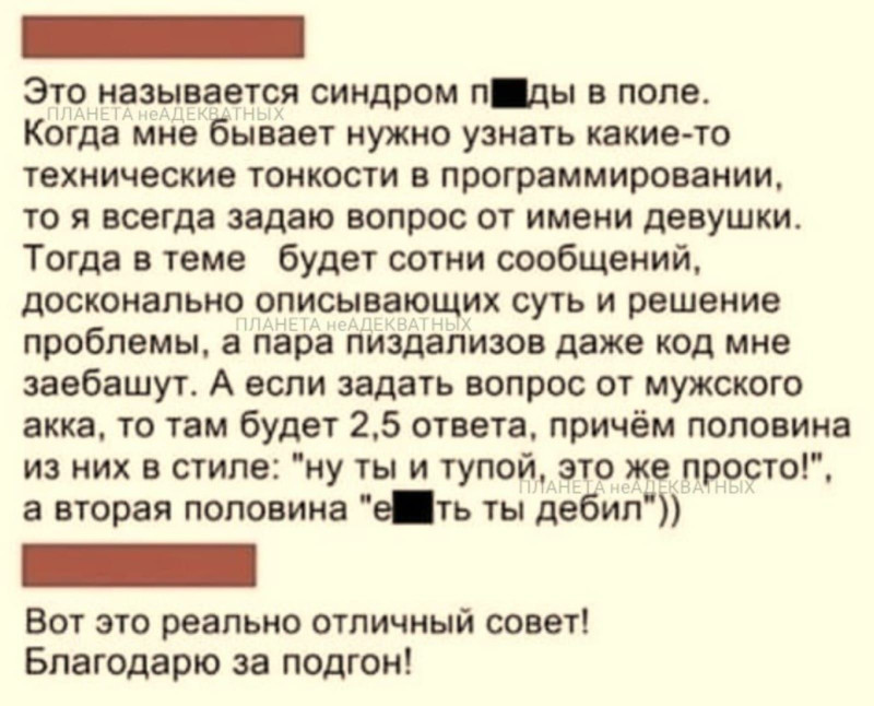 17328339_800.jpg