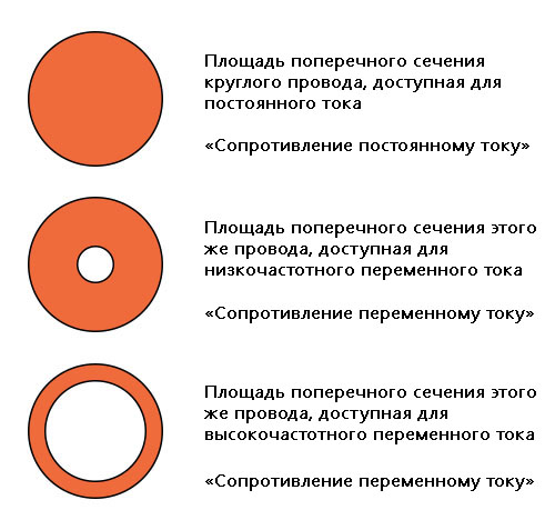 1765560646250.jpeg