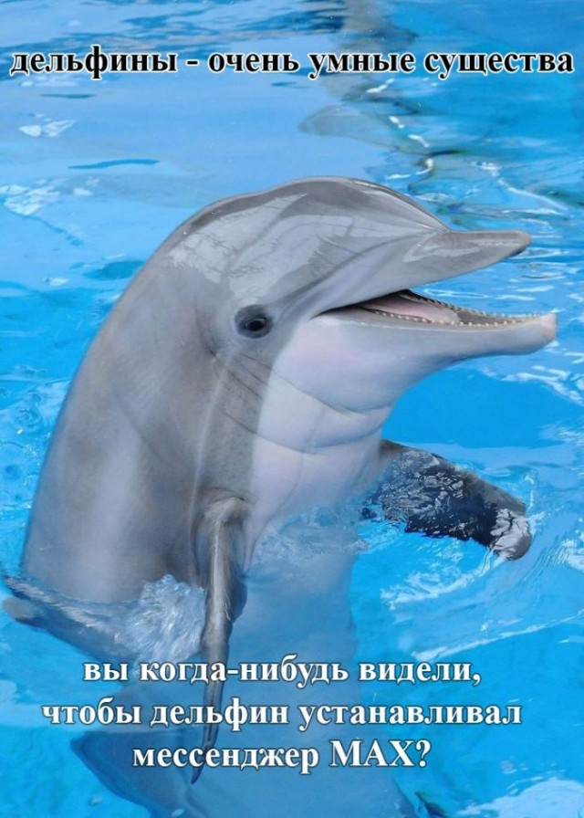 1779557861183.png