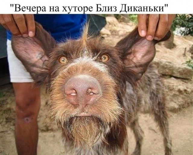 1784655516335.png