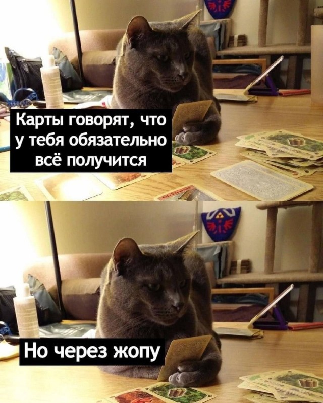 19168754.jpg