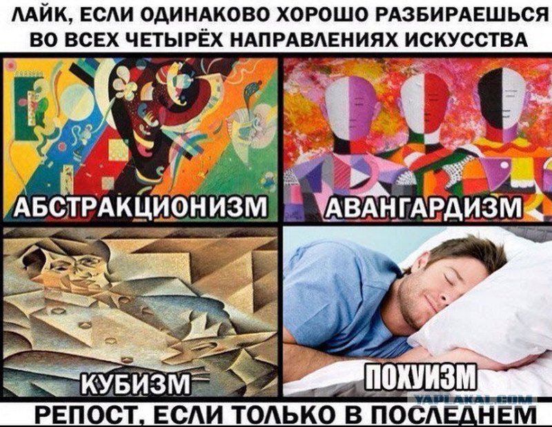 20717866.jpg