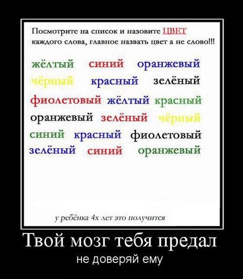 20717990.jpg