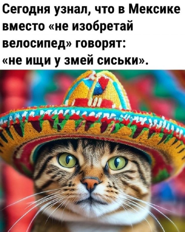 20722877.jpg