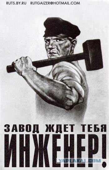20939793.jpg