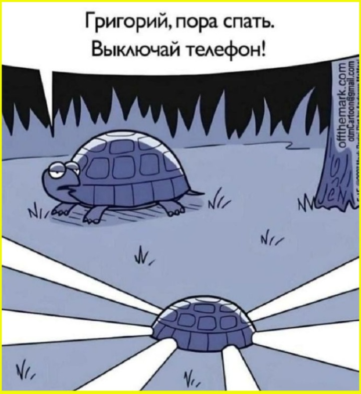 image (1683).png