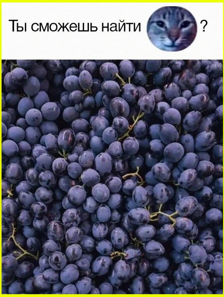 image (2065).png