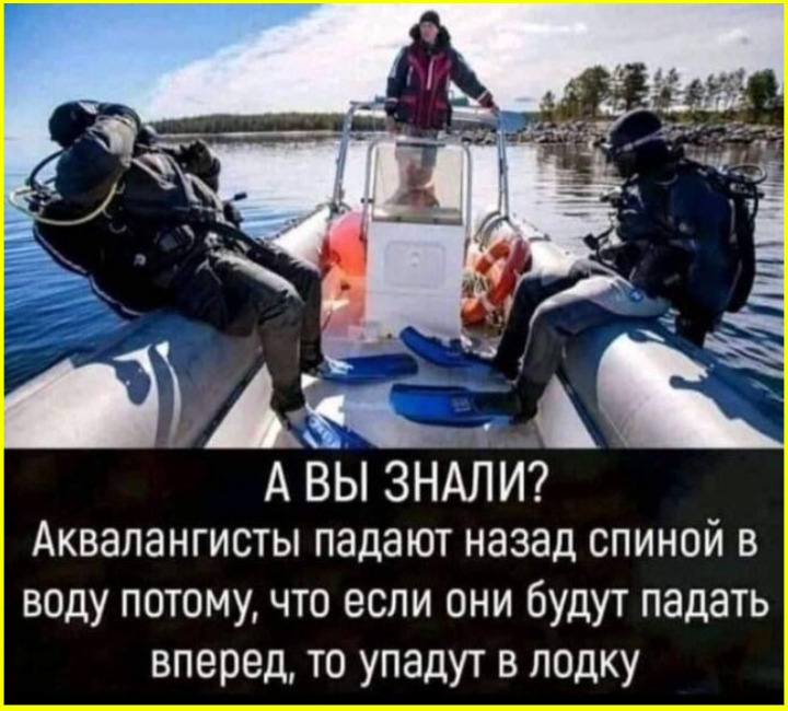image (3301).png