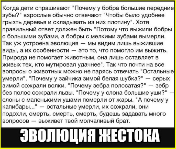 image (3334).png