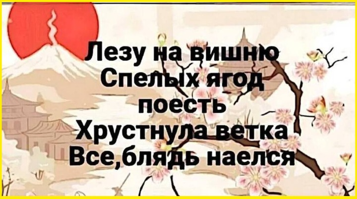 image (3492).png