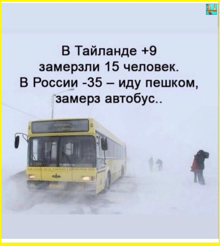 image (4829).png