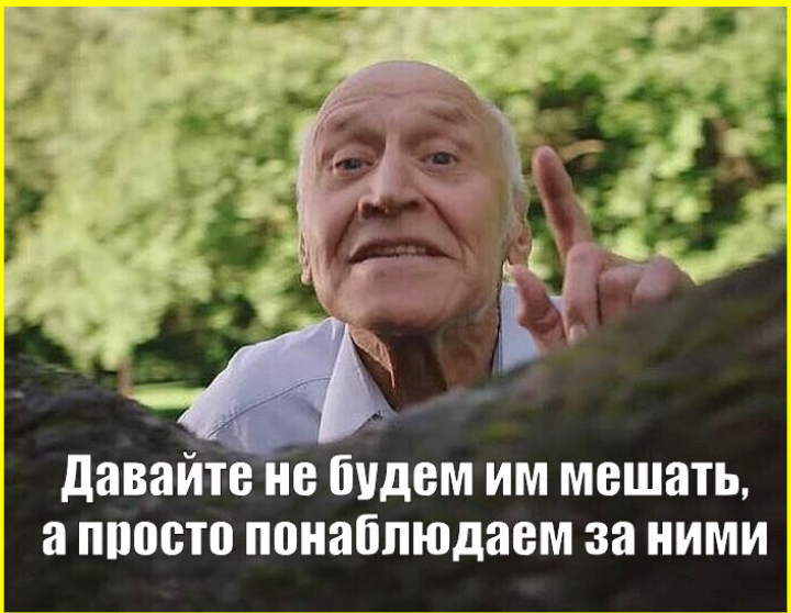 image (4903).png