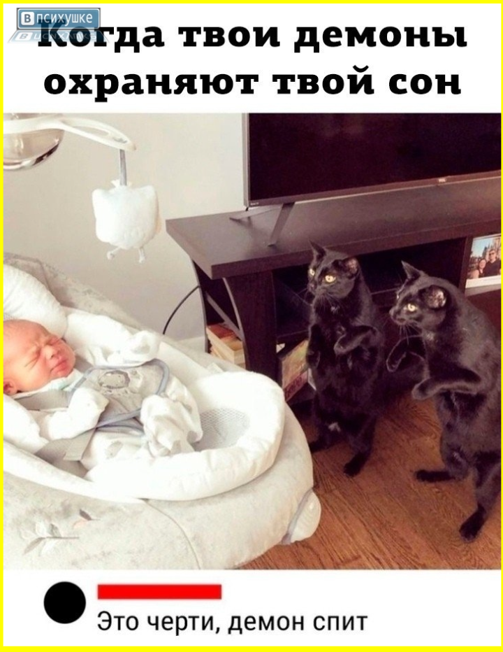 image (5766).png