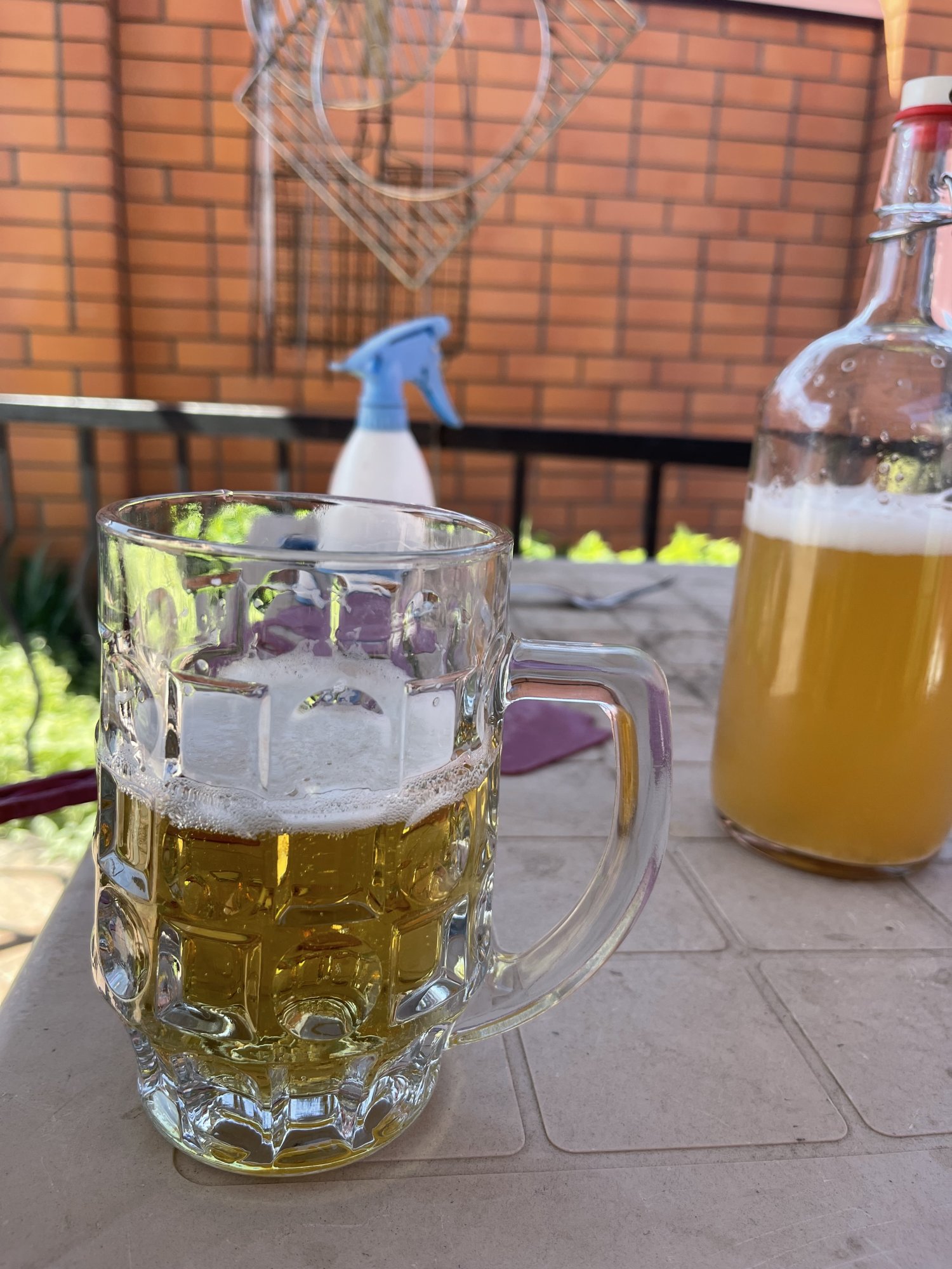IMG_6201.jpeg