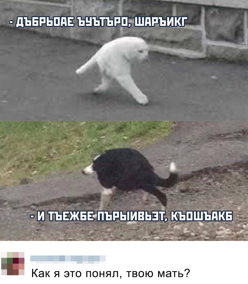 изображение_viber_2020-01-29_13-03-54 (1).jpg