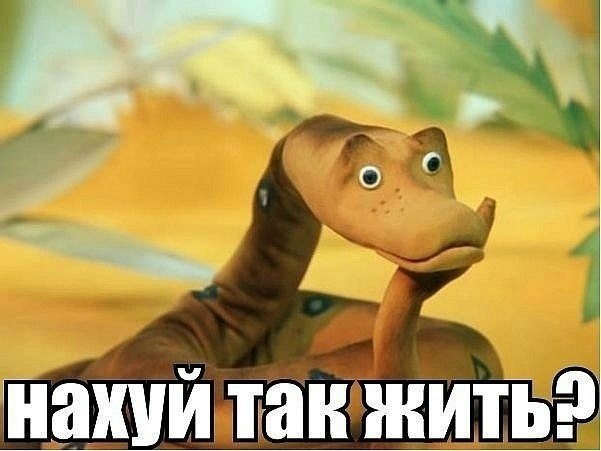 ntg.jpg