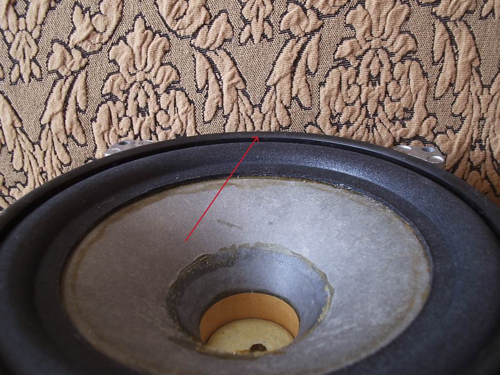 P1287542.JPG