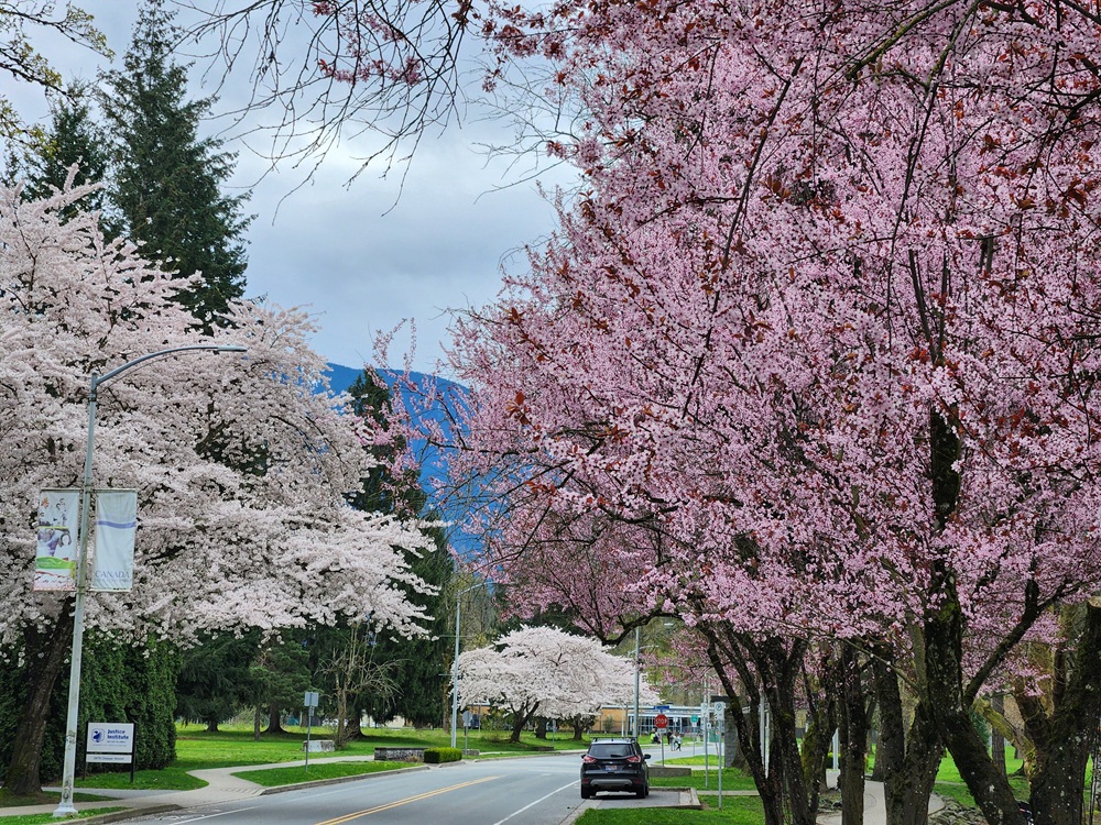 Pogoda 20250406a.jpg