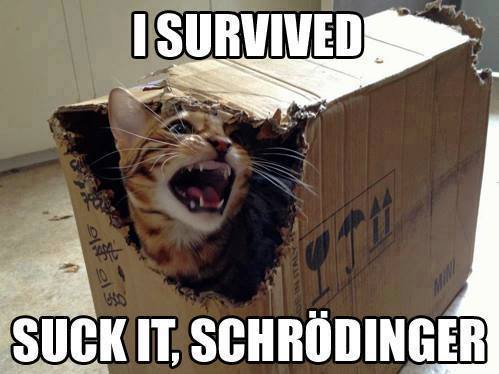 Schrodinger Cat survived.jpg