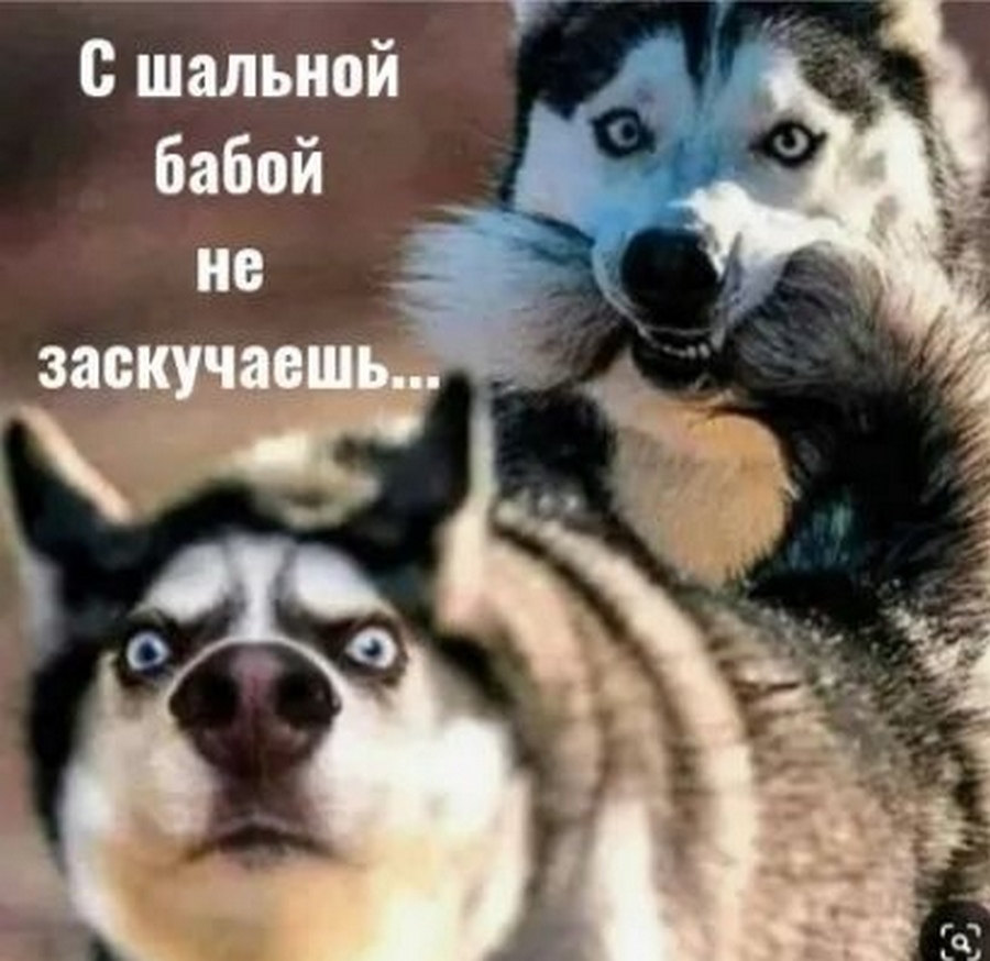 жена13.jpg