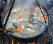 уха.jpg