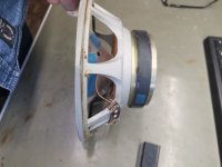 IMG_20240809_095204.jpg