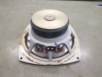 IMG_20240809_104321.jpg