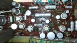 WhatsApp Image 2024-10-12 at 13.46.41.jpeg