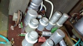 WhatsApp Image 2024-10-12 at 13.46.42.jpeg