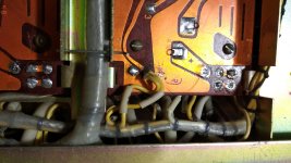 WhatsApp Image 2024-10-12 at 13.46.47.jpeg