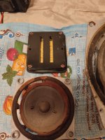 IMG_20250408_201634.jpg