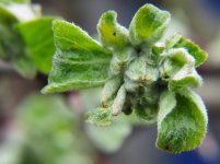 к старту готова.JPG