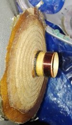 IMG_20250426_200449.jpg