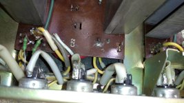 WhatsApp Image 2025-05-10 at 17.26.50.jpeg