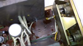 WhatsApp Image 2025-05-10 at 17.26.52.jpeg