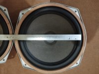 sm35-2.jpg
