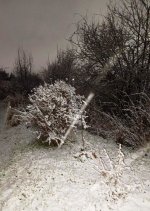 осень наступила.jpeg