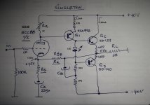 Singleton hybrid by Banat.jpg