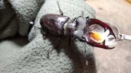 WhatsApp Image 2021-06-03 at 00.02.33.jpg