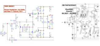 нерус с фиником через 2 года после белки.jpg