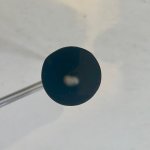 IMG_3442.jpeg