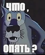 шо.jpg