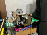 IMG_5627.JPEG