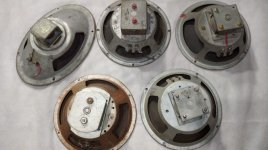 WhatsApp Image 2023-09-03 at 22.25.04.jpeg