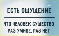 image (3752).png