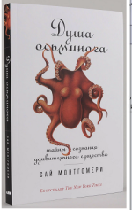 душа.png