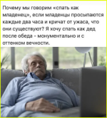 image (3504).png