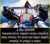 image (3301).png