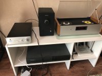 IMG_2175.jpeg
